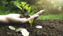 The Forum's founding firms have issued two-thirds of Europe's green bonds by volume